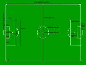 Tìm hiểu về football pitch và những chỉ số quan trọng trong bóng đá