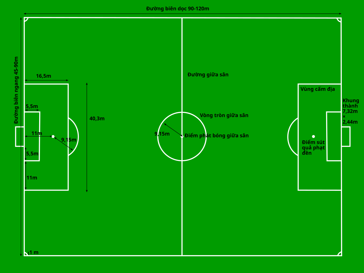 tong-quan-ve-football-pitch-trong-bong-da